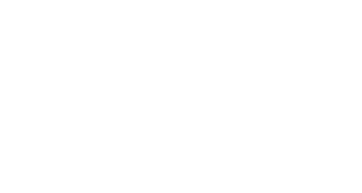 ACG Security Solutions logo