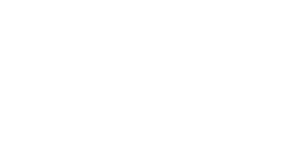 ACG Security Solutions